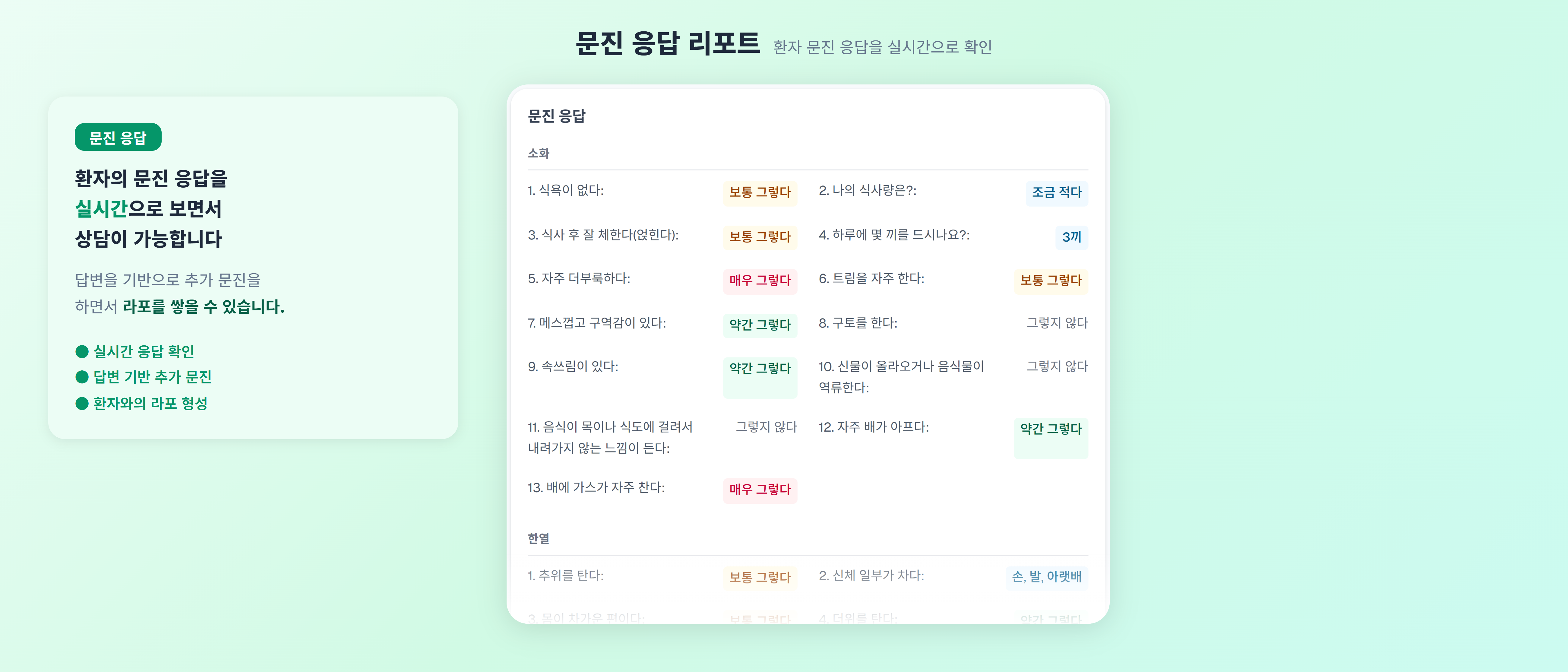 문진 응답 리포트